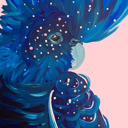 Blue Cockatoo
