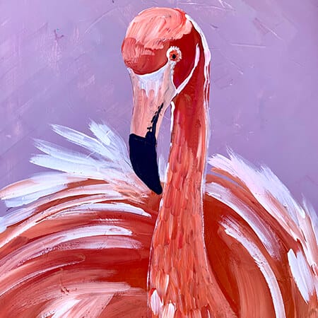 Dance of the pink flamingo